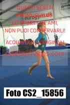 CS2_15856-