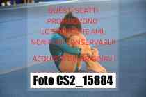 CS2_15884-