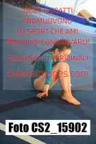 CS2_15902-