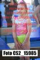 CS2_15985-