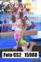 CS2_15988-