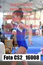 CS2_16008-