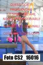 CS2_16016-