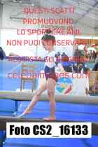 CS2_16133-