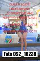 CS2_16239-