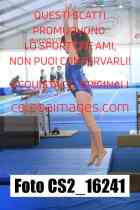 CS2_16241-