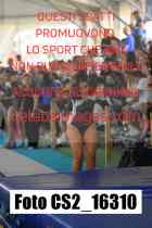 CS2_16310-
