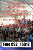 CS2_16312-