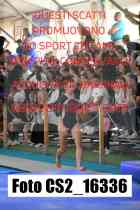 CS2_16336-