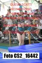 CS2_16442-