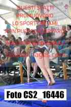 CS2_16446-
