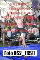 CS2_16511-