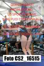 CS2_16515-