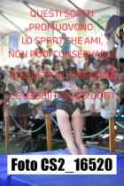 CS2_16520-