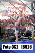CS2_16526-