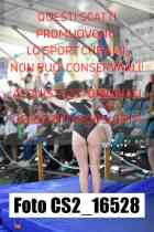CS2_16528-