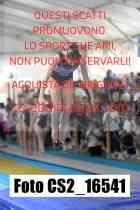 CS2_16541-