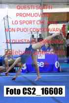 CS2_16608-