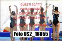 CS2_16655-
