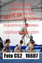 CS2_16687-