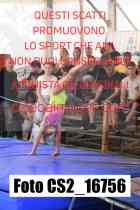 CS2_16756-