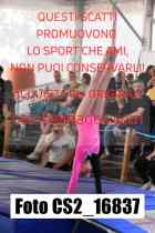 CS2_16837-
