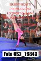 CS2_16843-
