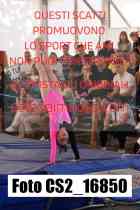 CS2_16850-