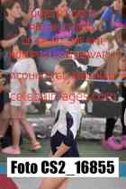 CS2_16855-