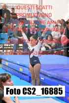 CS2_16885-