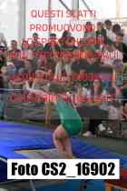 CS2_16902-