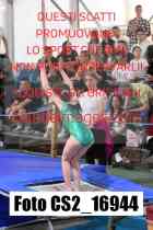 CS2_16944-