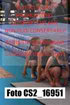 CS2_16951-