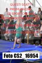 CS2_16954-
