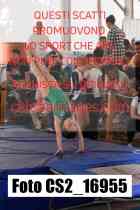 CS2_16955-