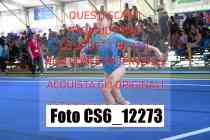 CS6_12273