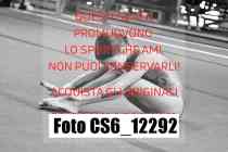 CS6_12292