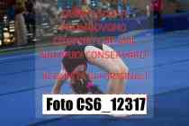 CS6_12317