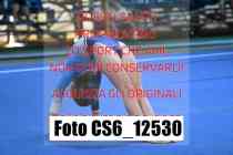CS6_12530