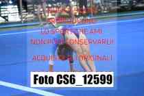 CS6_12599