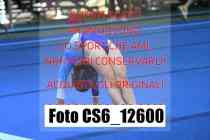 CS6_12600