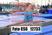 CS6_12733