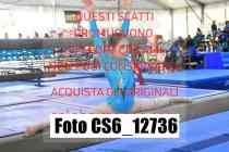CS6_12736