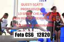 CS6_12820