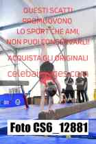 CS6_12881