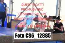 CS6_12885