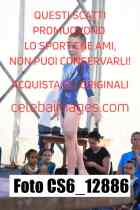 CS6_12886