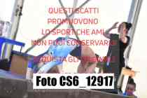 CS6_12917