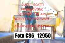 CS6_12950