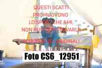 CS6_12951